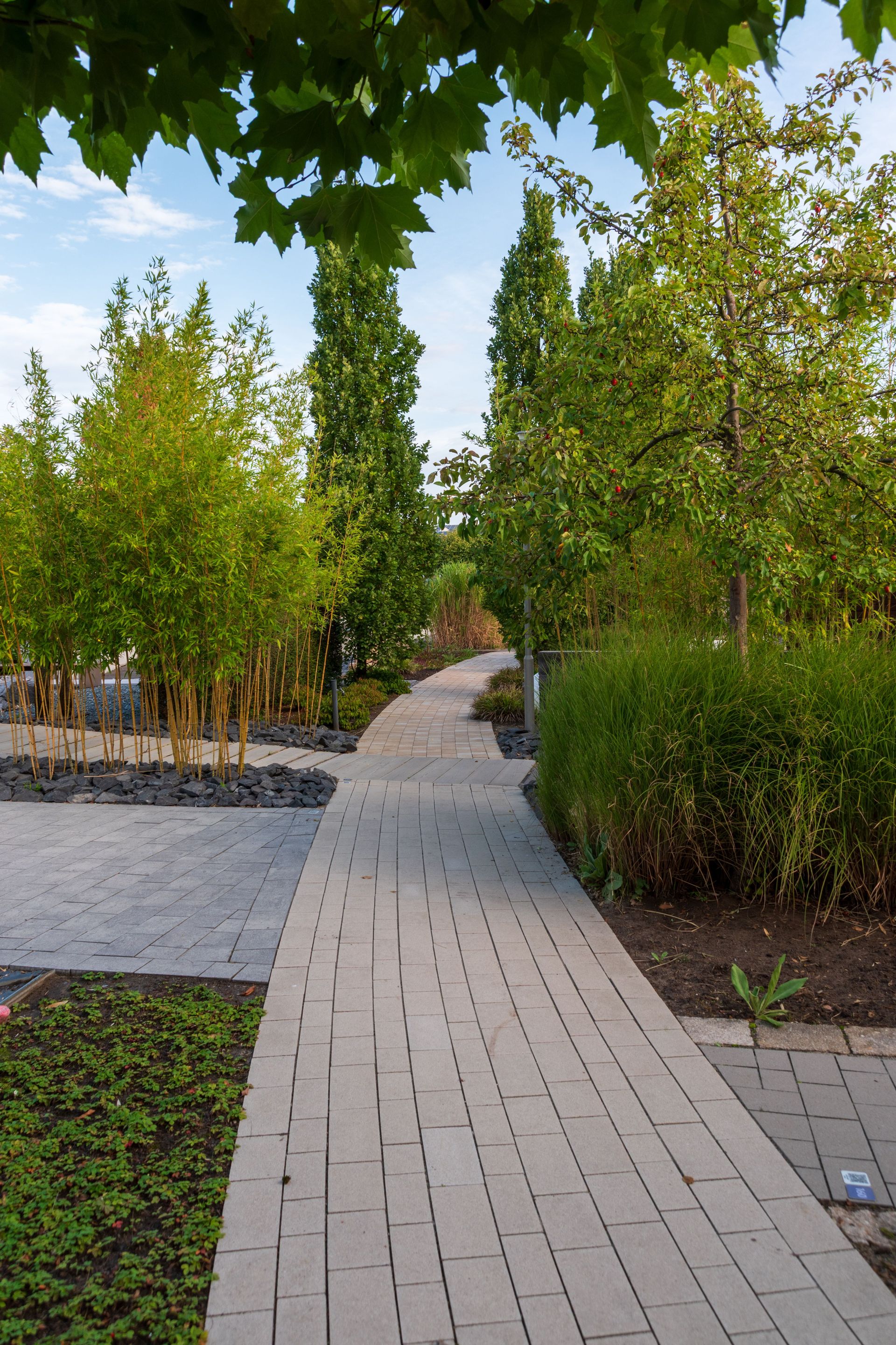 A tranquil garden pathway surrounded by lush trees and shrubs under a bright sky.