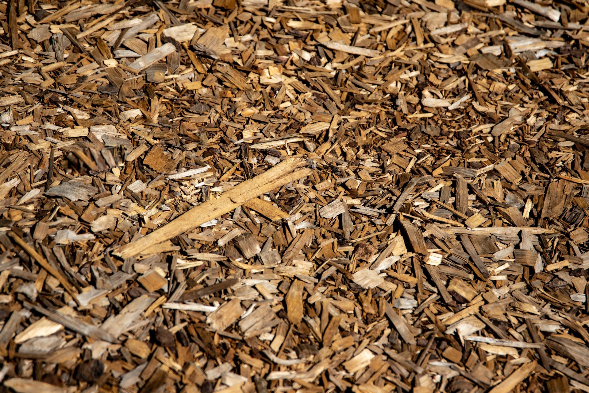 Close-up of brown bark mulch in sunlight, showcasing natural texture.